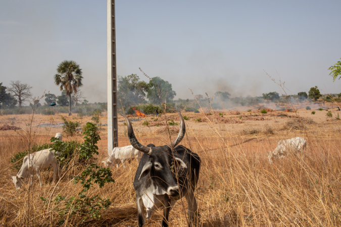 014_210528_Senegal_Day_5_Fuji_GFX_3990_©SandraWongGeroux